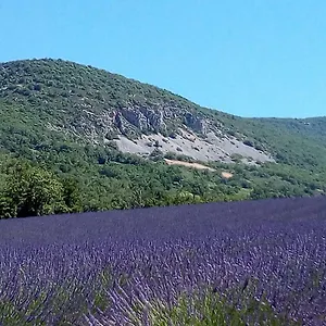La Fleur D'olivier , Nyons France